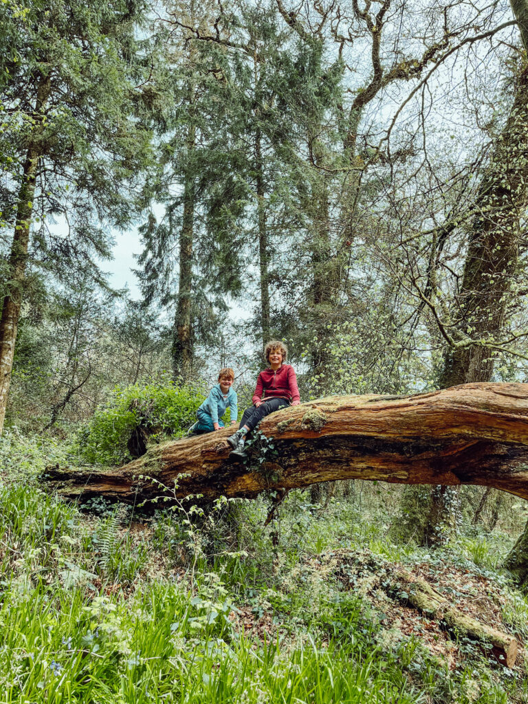 Two boys sitting on a fallen tree