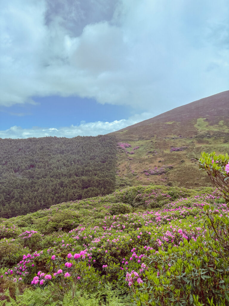 View of the mountainside in The Vee