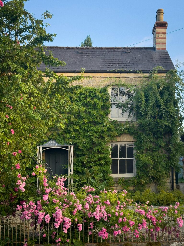 English cottage covered in green wisteria leaves and pink roses